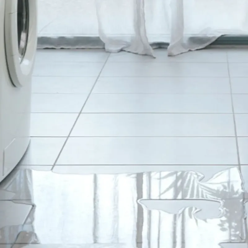 Appliance Leak Cleanup in Newport News, VA