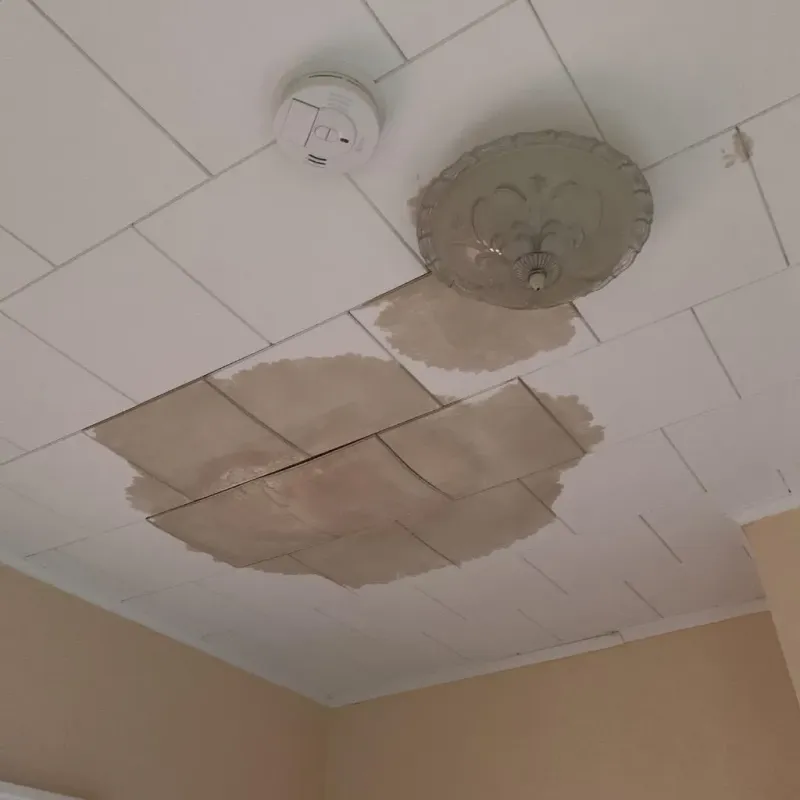 Ceiling Water Damage Repair in Newport News, VA